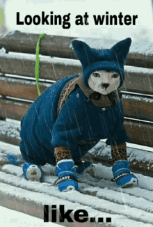 Winter Is Coming Cold Outside GIF - Winter Is Coming Cold Outside Cold Morning GIFs