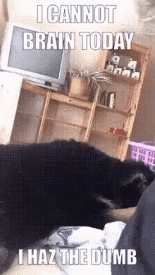 Dumb Dog Cant Think GIF - Dumb Dog Cant Think Not Today GIFs