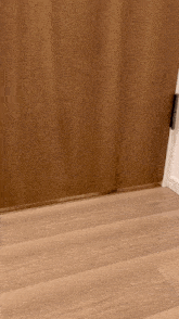 Hamster Crawl GIF - Hamster Crawl Door GIFs
