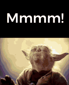Yoda Smells GIF