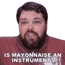 an mayonnaise
