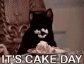 Cake Cat GIF - Cake Cat Salem GIFs
