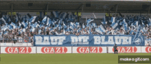 Stuttgart Kickers GIF