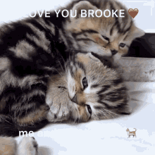 I Love Brooke GIF - I Love Brooke GIFs