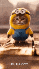 a cat dressed as a minion is walking on a wooden surface .