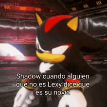 shadow the hedgehog is a cartoon character from the video game sonic the hedgehog and is standing in a stadium .