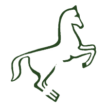 reiten horse