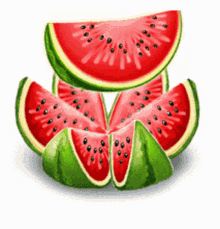 Watermelon Ninisjgufi GIF - Watermelon Ninisjgufi Arbuz GIFs