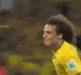 David Luiz Celebration GIF - David Luiz Celebration Brazil GIFs