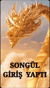 Songulll Songulaziz GIF - Songulll Songulaziz Songulmi GIFs