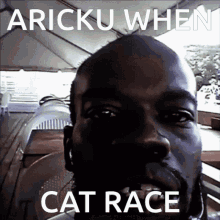 Aricku Cat Race GIF