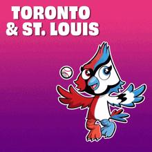 a toronto and st. louis poster with a cartoon bird holding a baseball