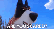 Are You Scared Chicken GIF - Are You Scared Chicken Scaredy Cat GIFs