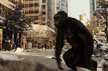 a monkey is kneeling down in the middle of a city