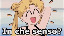 In Che Senso Non Capisco Cosa Vuoi Dire Sailor Moon GIF - What Do Youmean I Dont Understand What Does That Mean GIFs