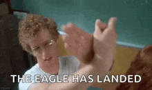 Fly Eagles GIF