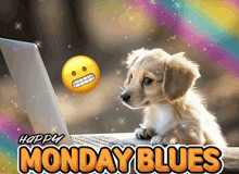 a happy monday blues greeting card with a puppy
