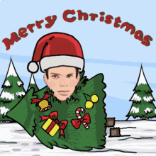 merry christmas christmas tree cut tree pine tree