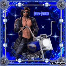 Harley Davidson Harley Davidson Motorcycles GIF
