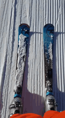 Ski Snow GIF