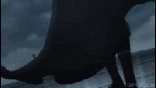 Cid Eminence In The Shadow GIF - Cid Eminence In The Shadow Shadow GIFs