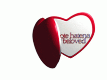 a heart shaped mirror with the words flipnote hattena my beloved