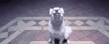 a white dog is sitting on a tiled floor looking up at the sky .