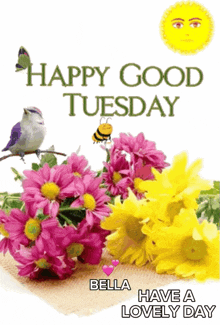 a happy good tuesday bella have a lovely day greeting