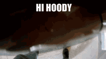 Hi Hoody Hoody GIF