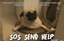 Help Send Help GIF - Help Send Help Dog GIFs