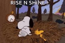 Snoopy Wake Up GIF - Snoopy Wake Up Alarm GIFs