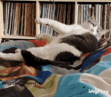Cat Cleaning GIF - Cat Cleaning Lick GIFs