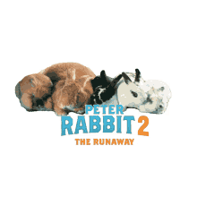 rabbit2 runaway