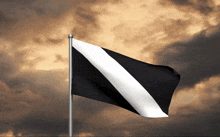 Diagolon Flag GIF - Diagolon Flag Diagolon Flag GIFs