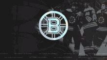 Bruins Goal GIF - Bruins Goal GIFs