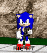sonic the hedgehog is holding a monster energy drink and says `` me rn '' .
