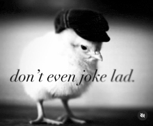 a black and white photo of a chicken wearing a hat with the words " don 't even joke lad "