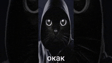a black cat wearing a hooded sweatshirt with the word okak on the bottom