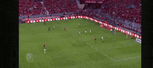 a soccer game is being played in front of a crowd with a sign that says sigaelec.com