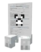a piece of paper with information about a person 's personal information on it