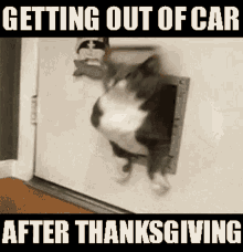 After Thanksgiving GIF - After Thanksgiving Dinner GIFs