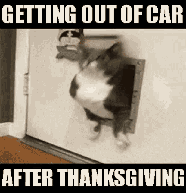 after-thanksgiving.gif