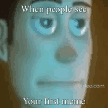Meme Memes GIF - Meme Memes Woody GIFs
