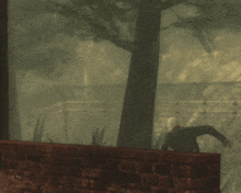 a shadow of a person is cast on a brick wall in a foggy forest