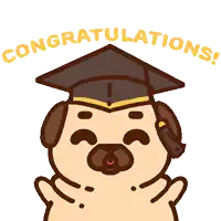 a cartoon pug wearing a graduation cap with the words cong ns behind it