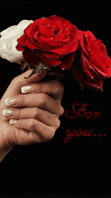 Hello Roses GIF - Hello Roses Flowers For You GIFs