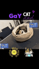 a cat is sleeping in a dog bed with a sign that says " sorry i am sleepy "