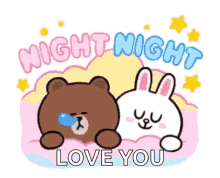 Night Brown And Cony GIF