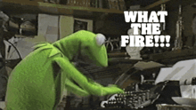 kermit the frog is typing on a typewriter with the words what the fire written above him