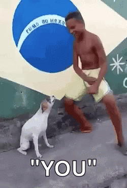 dog humps to fast gif